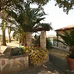 Casetta Sulla Bolgherese Immersa Nel *
