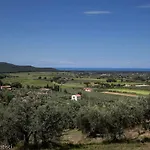 Casetta Sulla Bolgherese Immersa Nel *