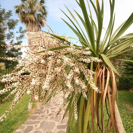Tatil Evi Casetta Sulla Bolgherese Immersa Nel Castagneto Carducci