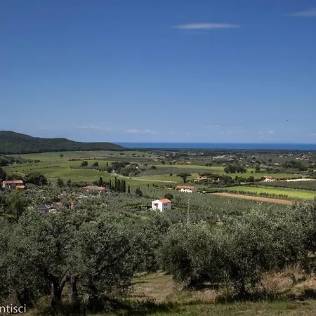 Casetta Sulla Bolgherese Immersa Nel *
