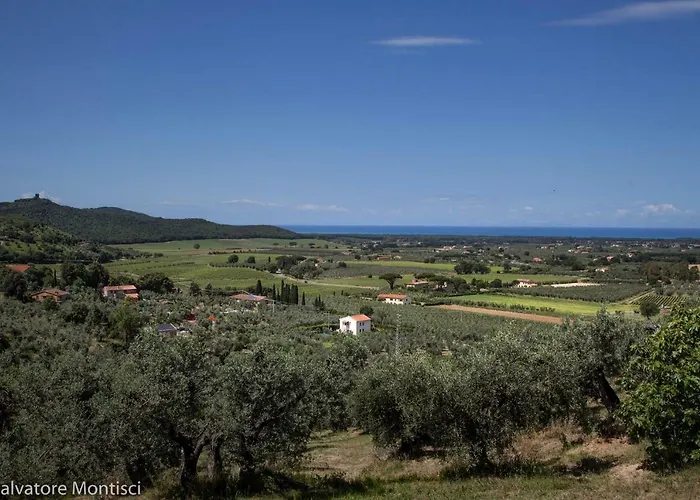 Casetta Sulla Bolgherese Immersa Nel *